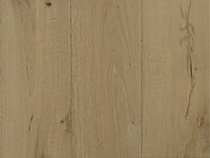 Mediterranean Ligurian 8 x Random Length